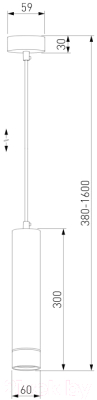 Потолочный светильник Elektrostandard DLN107 GU10 (черный/золото)