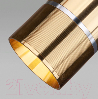 Потолочный светильник Elektrostandard DLN107 GU10 (золото)