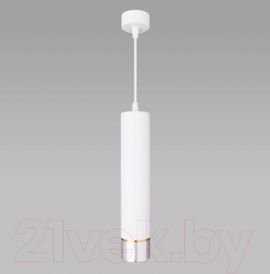 Потолочный светильник Elektrostandard DLN107 GU10 (белый/серебро)