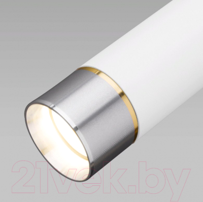 Потолочный светильник Elektrostandard DLN107 GU10 (белый/серебро)