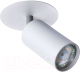 Миниатюра изображения товара Спот Arte Lamp Cefeo A3214PL-1GY