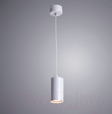 Потолочный светильник Arte Lamp Canopus A1516SP-1GY