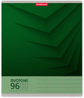 Изображение товара Тетрадь Erich Krause Duotone Next / 42670 (96л, клетка)
