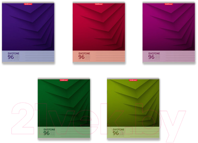 Изображение товара Тетрадь Erich Krause Duotone Next / 42670 (96л, клетка)