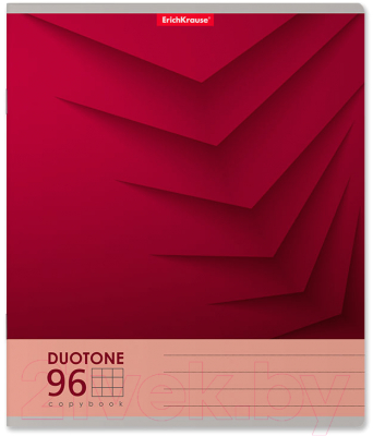 Изображение товара Тетрадь Erich Krause Duotone Next / 42670 (96л, клетка)