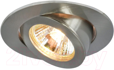 Точечный светильник Arte Lamp Accento A4009PL-1SS