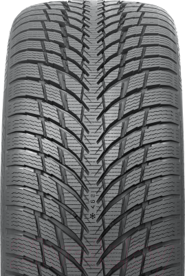 Зимняя шина Nokian Tyres WR Snowproof P 255/40R19 100V
