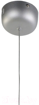 Потолочный светильник FAVOURITE Tibia 2216-1P