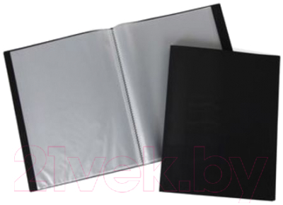 

Папка для бумаг Hatber, 100AV4 03001