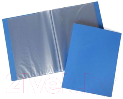 

Папка для бумаг Hatber, 100AV4 03009