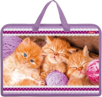 

Папка для тетрадей Hatber, Домашние любимцы / Amn 24080