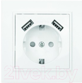 

Розетка EKF, Basic Минск СП 1-м 16А / ERR16-028-100-2USB