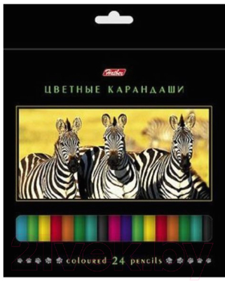 

Набор цветных карандашей Hatber, Ассорти, Дикий мир / BKc 24270