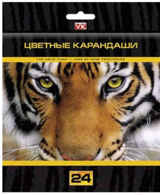 

Набор цветных карандашей Hatber, Ассорти, VK Дикие звери / BKc 24309