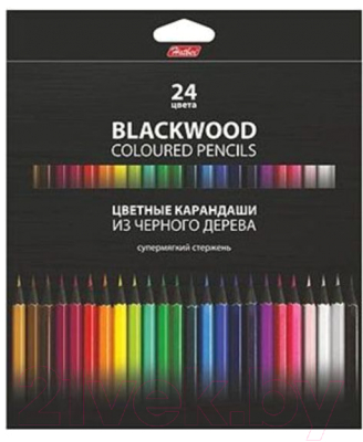 Набор цветных карандашей Hatber Black Diamond / BKc_24830 (24цв)
