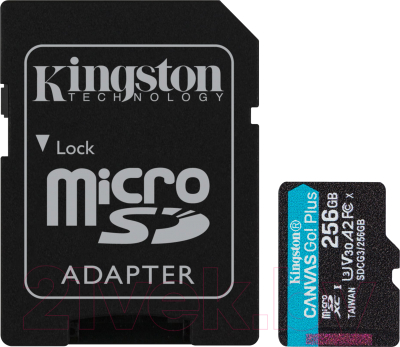Карта памяти Kingston Canvas Go Plus microSDXC (Class10) 256GB (SDCG3/256GB)