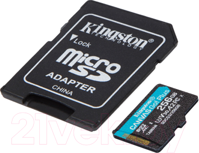 Карта памяти Kingston Canvas Go Plus microSDXC (Class10) 256GB (SDCG3/256GB)