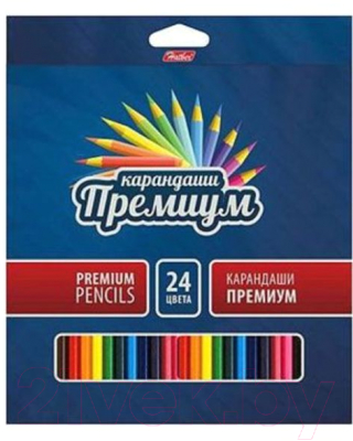 Набор цветных карандашей Hatber Премиум / BKc_24840 (24цв)