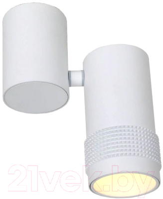 Точечный светильник FAVOURITE Kinescope 2453-1U