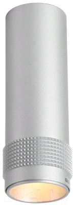 

Точечный светильник FAVOURITE, Kinescope 2454-1C