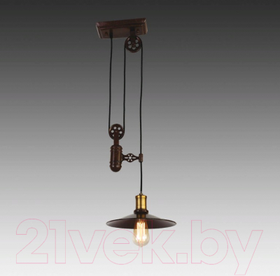 Потолочный светильник FAVOURITE Winch 1762-1P