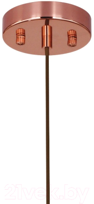 Потолочный светильник FAVOURITE Kupfer 1845-1P