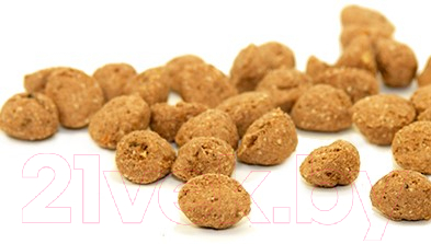 Сухой корм для собак Magnusson Adult Meat&Biscuit / F210020-2 (200г)
