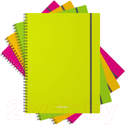 Изображение товара Тетрадь Erich Krause Neon / 50650 (80л, клетка)