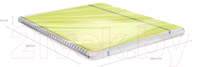 Изображение товара Тетрадь Erich Krause Neon / 50650 (80л, клетка)