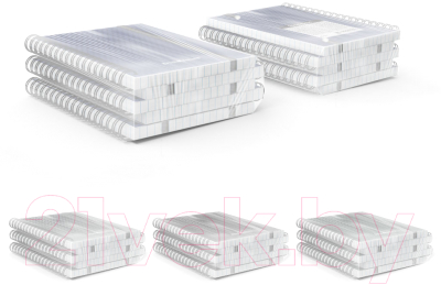 Изображение товара Тетрадь Erich Krause Diamond / 50171 (80л, клетка)