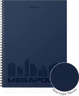 Тетрадь Erich Krause Megapolis / 45947 (80л, клетка)