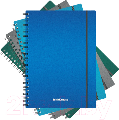 Изображение товара Тетрадь Erich Krause Ice Metallic / 50167 (80л, клетка)