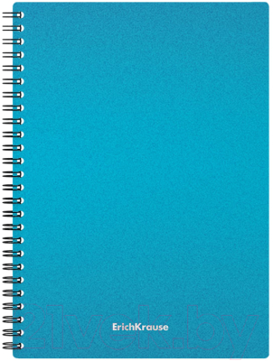 Изображение товара Тетрадь Erich Krause Ice Metallic / 50167 (80л, клетка)
