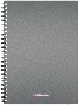 Изображение товара Тетрадь Erich Krause Ice Metallic / 50167 (80л, клетка)