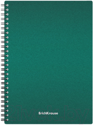 Изображение товара Тетрадь Erich Krause Ice Metallic / 50167 (80л, клетка)