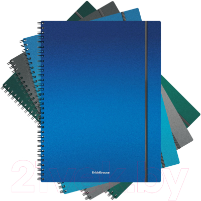 Тетрадь Erich Krause Ice Metallic / 50168 (80л, клетка)