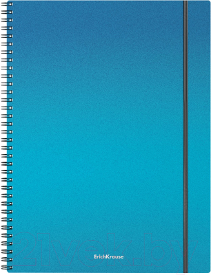 Тетрадь Erich Krause Ice Metallic / 50168 (80л, клетка)