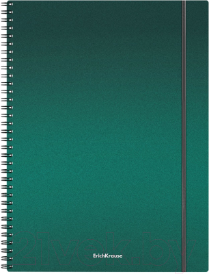 Тетрадь Erich Krause Ice Metallic / 50168 (80л, клетка)