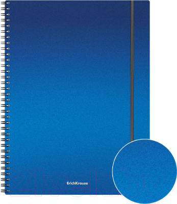 Тетрадь Erich Krause Ice Metallic / 50168 (80л, клетка)