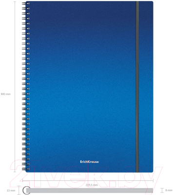 Тетрадь Erich Krause Ice Metallic / 50168 (80л, клетка)