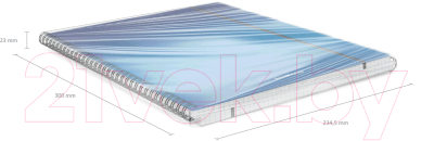 Тетрадь Erich Krause Ice Metallic / 50168 (80л, клетка)