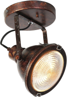 

Спот FAVOURITE, Industria 1898-1W
