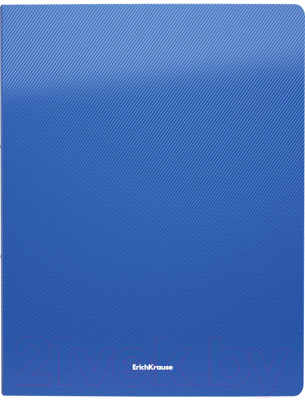 

Папка для бумаг Erich Krause, Diagonal Vivid / 47005