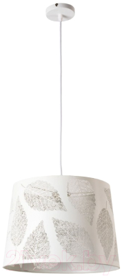 

Потолочный светильник Arte Lamp, Celesta A2768SP-1WH