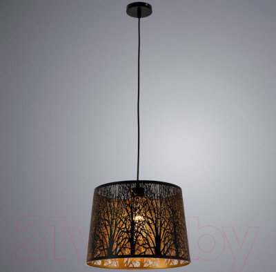 Потолочный светильник Arte Lamp Celesta A2769SP-1BK