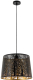 Потолочный светильник Arte Lamp Celesta A2769SP-1BK - 