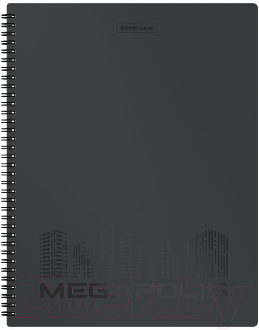 Папка для бумаг Erich Krause Megapolis / 50513