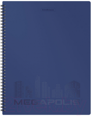 

Папка для бумаг Erich Krause, Megapolis / 49957