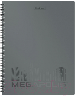 

Папка для бумаг Erich Krause, Megapolis / 49960