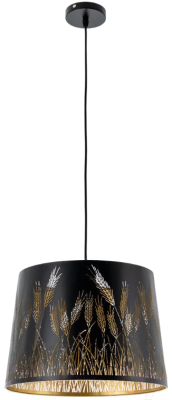 

Потолочный светильник Arte Lamp, Celesta A2700SP-1BK